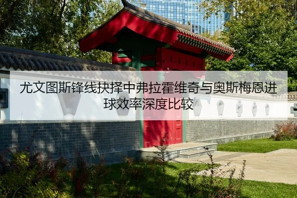 尤文图斯锋线抉择中弗拉霍维奇与奥斯梅恩进球效率深度比较（okooo）